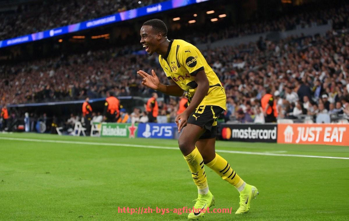 AG捕鱼王官网-德甲联赛球队赛制详解及体育竞技规则介绍