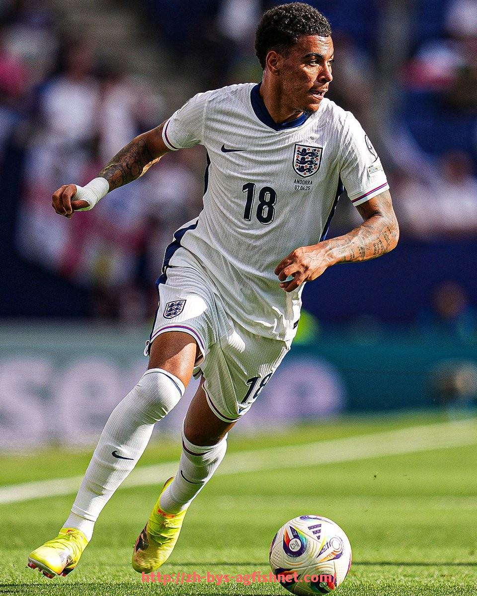 AG捕鱼王官网-2024年NBA联盟伤病名单对季后赛形势造成哪些变量